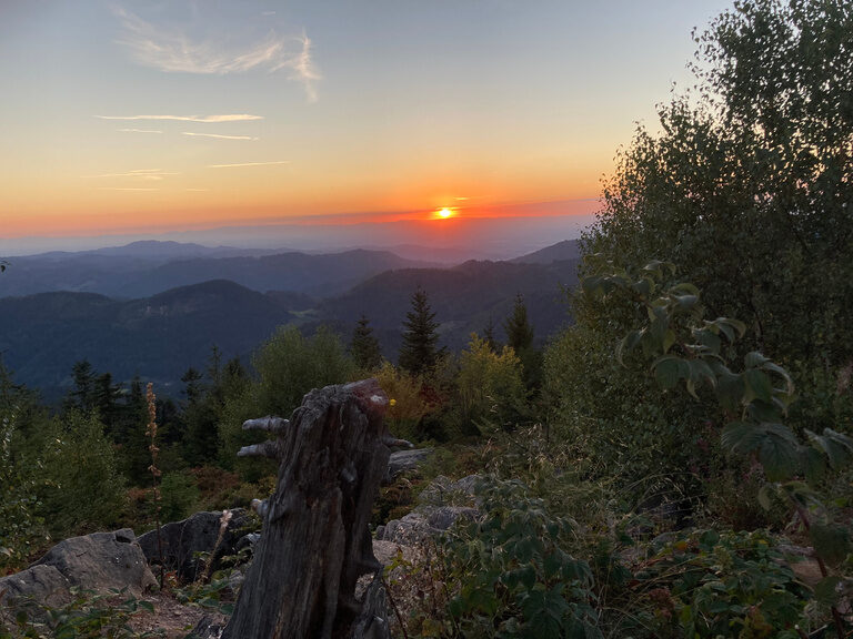 Sonnenuntergang über dem Wald mit weitem Blick in die Natur rund um das Hotel Konradshof im Nordschwarzwald