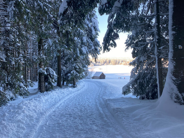 Verschneiter Waldweg im Winter rund um das Hotel Konradshof im Nordschwarzwald