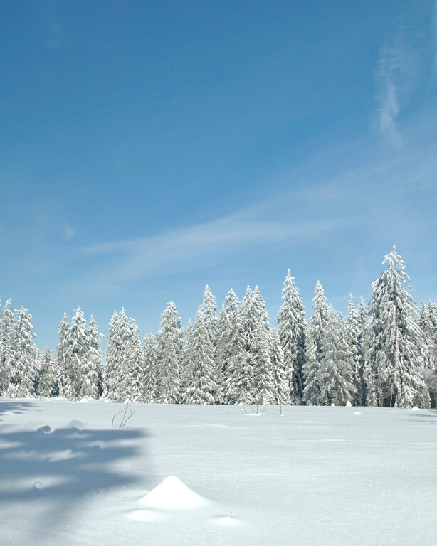 Verschneite Winterlandschaft im Nordschwarzwald