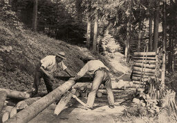 Familie Sackmann Geschichtsbild