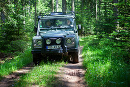 Landrover im Wald