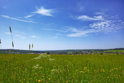 Grüne Wiesen mit Blick über Besenfeld