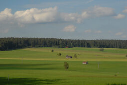 Blick über die grünen Wiesen in Besenfeld