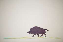 Wildschwein