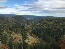 Elbachsee