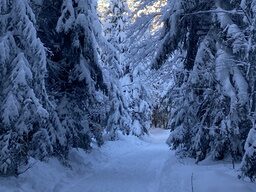 Winterlandschaft