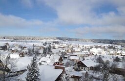 Besenfeld im Winter