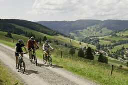Eine Gruppe beim Mountainbiken in der Höhe umgeben von Bergen mit Aussicht im Nordschwarzwald