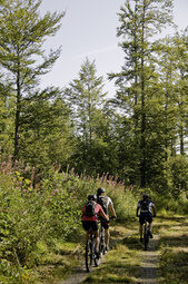 Eine Gruppe von Fahrradfahrern im Nordschwarzwald