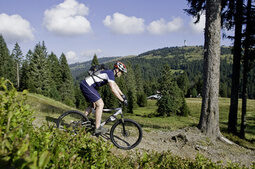 Ein Mann auf dem Maountainbike Bergabwärts im Nordschwarzwald