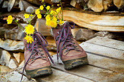 Geschmückte Wanderstiefel mit gelben Blumen