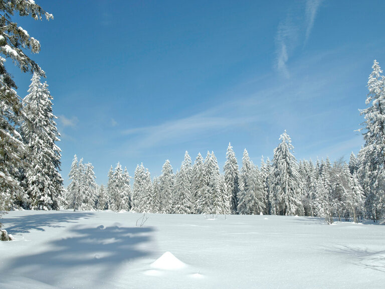 Verschneite Winterlandschaft im Nordschwarzwald