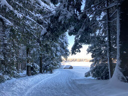 Verschneiter Waldweg im Winter rund um das Hotel Konradshof im Nordschwarzwald.
