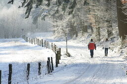 Winterspaziergang in Besenfeld im Nordschwarzwald